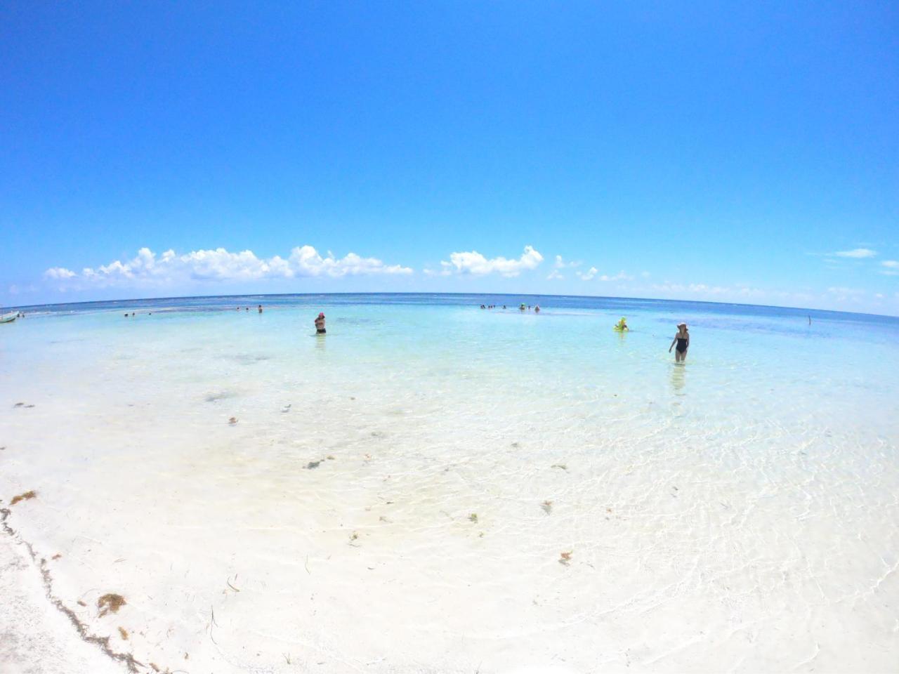 Palmeras De Lodge Mahahual