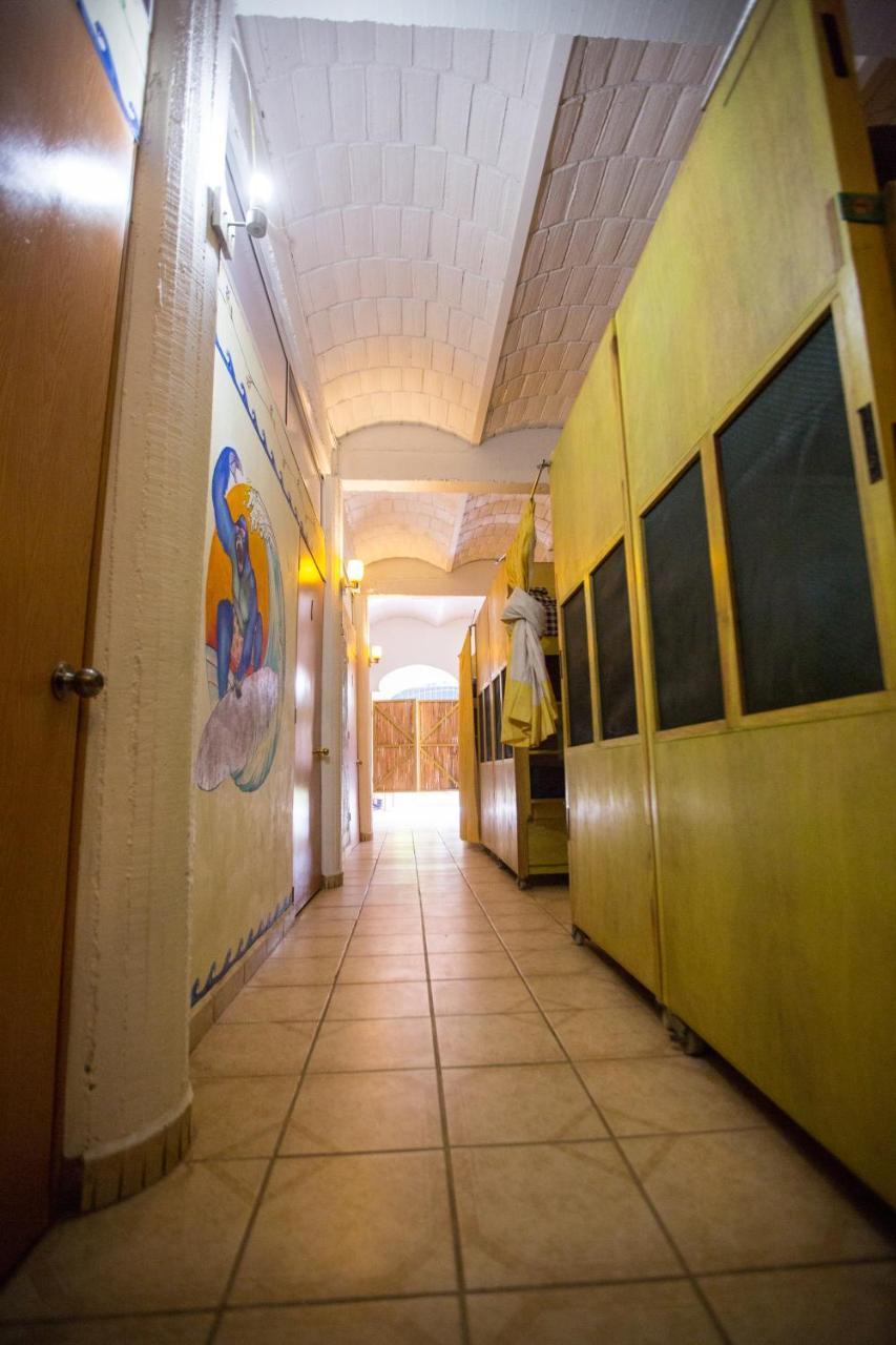 Guest house La Selva