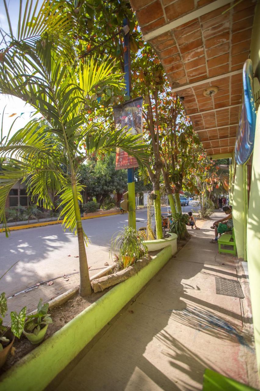 Guest house La Selva 2*