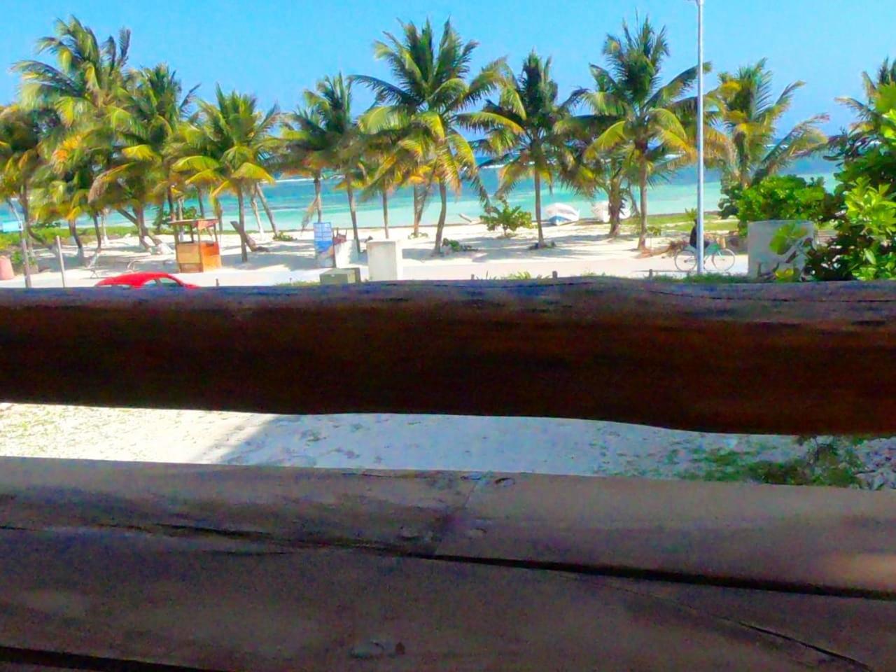 Palmeras De