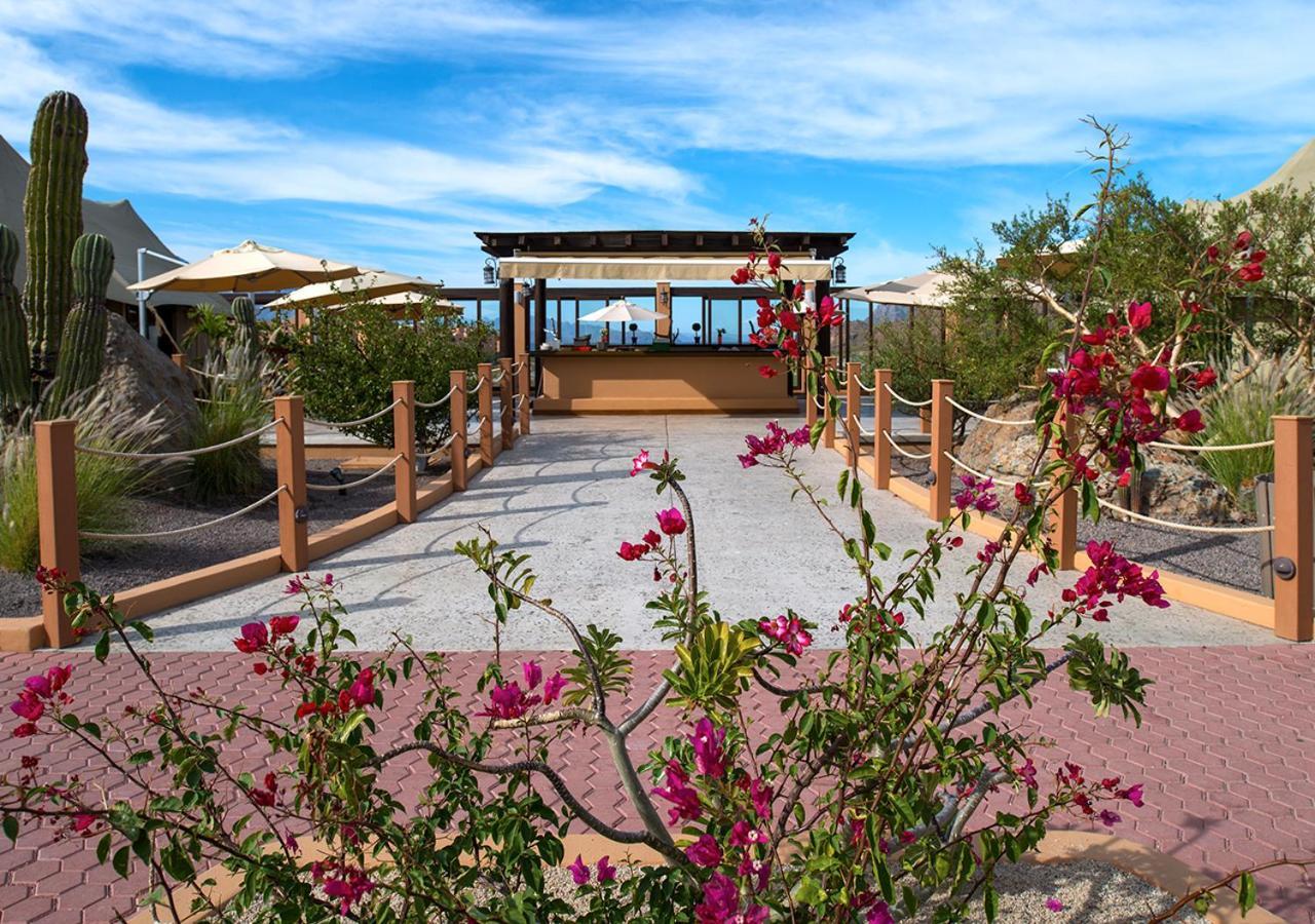 Resort Del Palmar At The Islands Of Loreto Loreto (Baja California Sur)