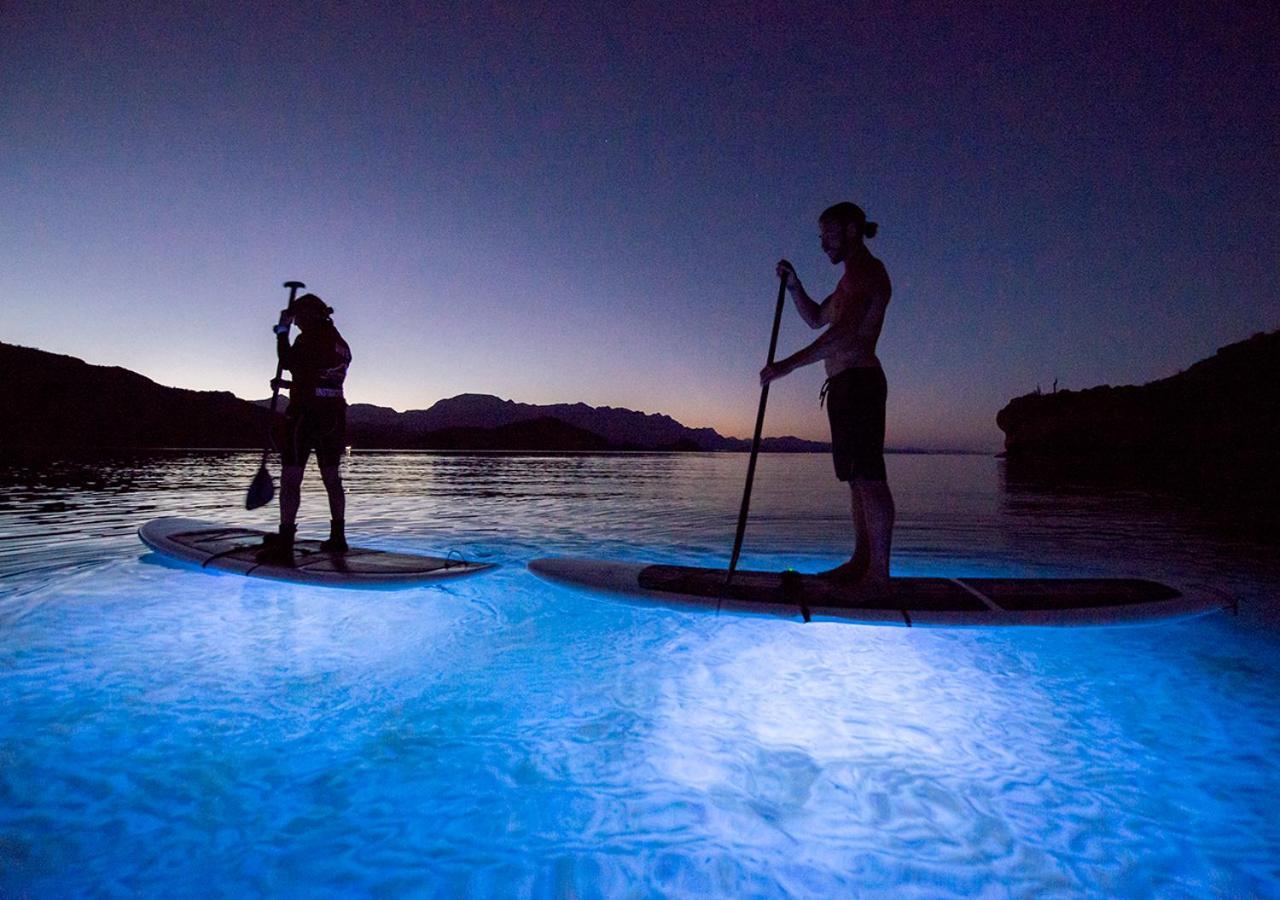 Del Palmar At The Islands Of Loreto 5*