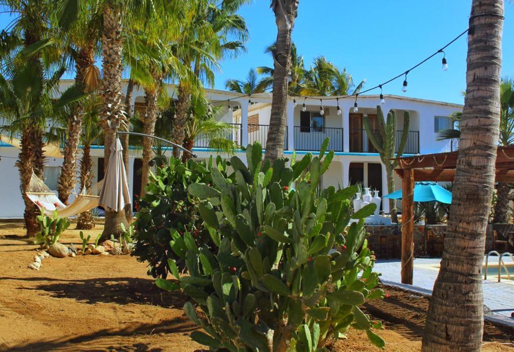 Hotel Santa Rosa Todos Santos