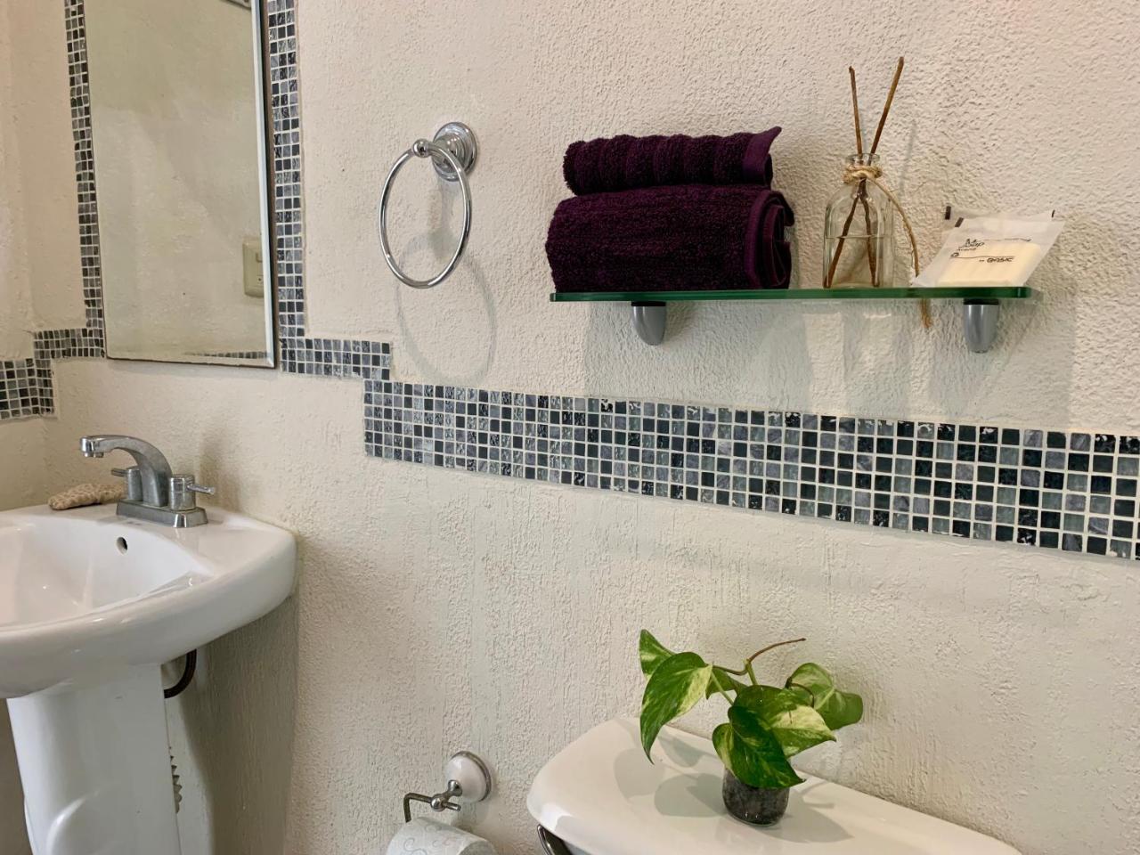 Guest house Jacaranda Playa