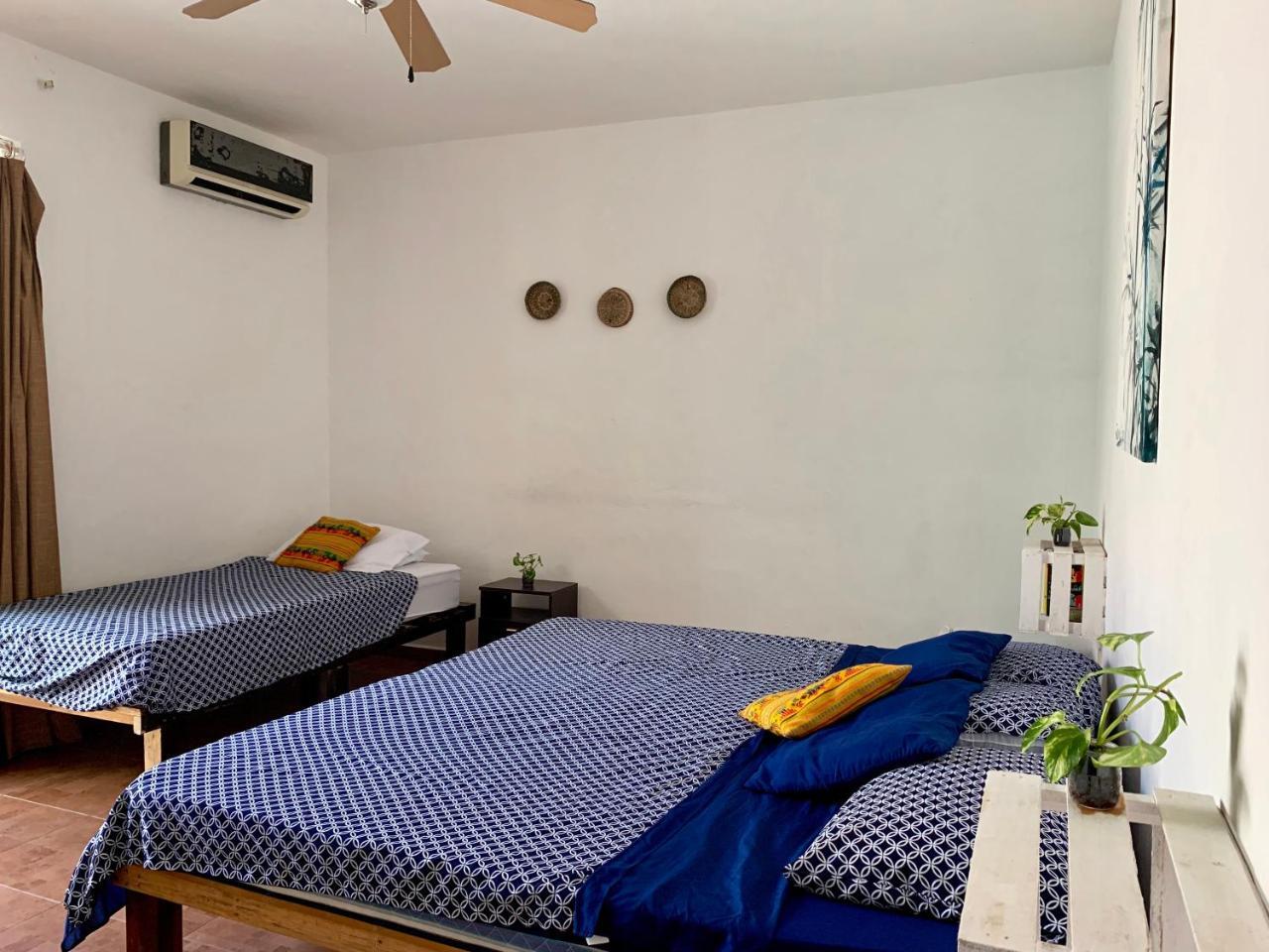 Jacaranda Playa Guest house