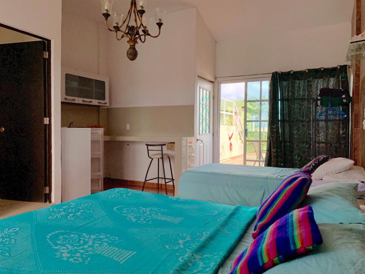 Guest house Jacaranda Playa