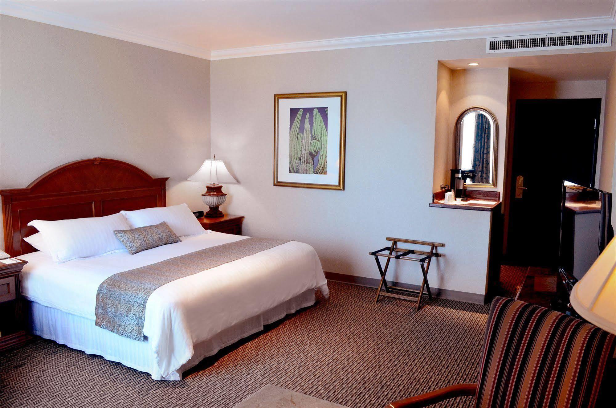 Hotel Araiza
