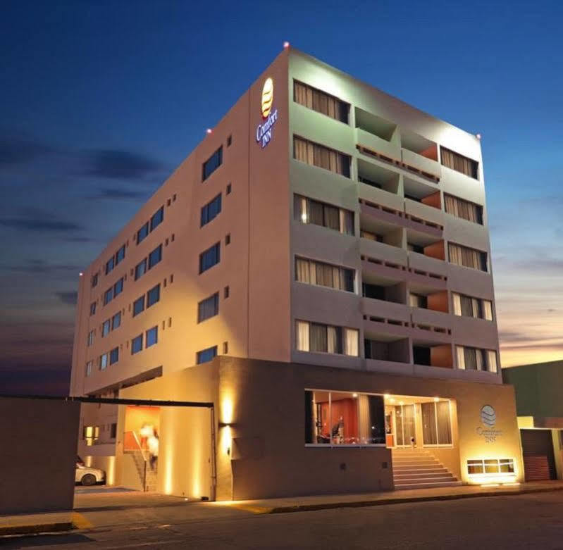 Hotel Comfort 3*