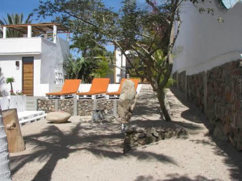 Perro Surfero Hotel Todos Santos