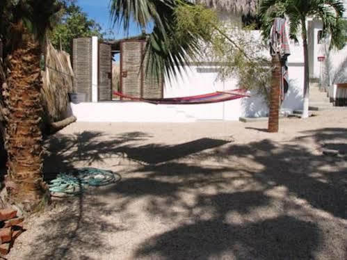 Perro Surfero 2* Todos Santos