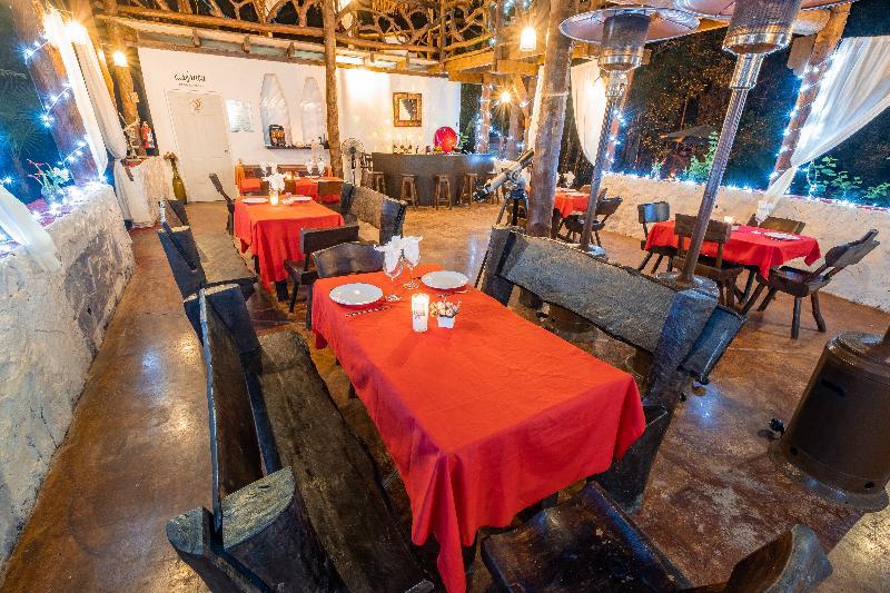 Jolie Jungle Eco (adults Only)