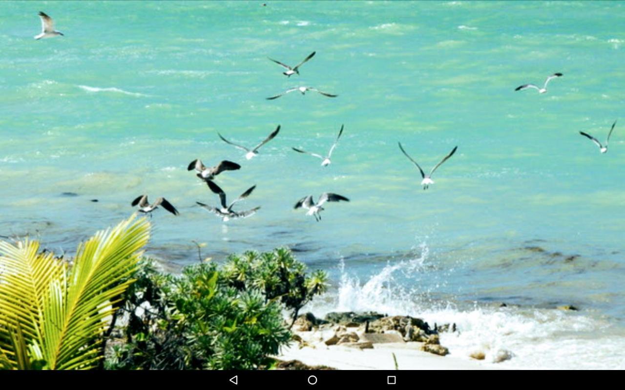 Holiday home Casa Lago Dominguez On The Beach Chicxulub