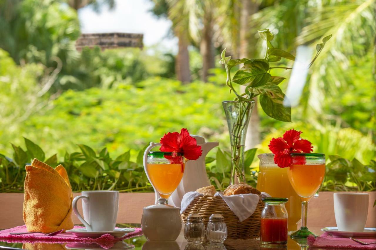 Hotel Mayaland &