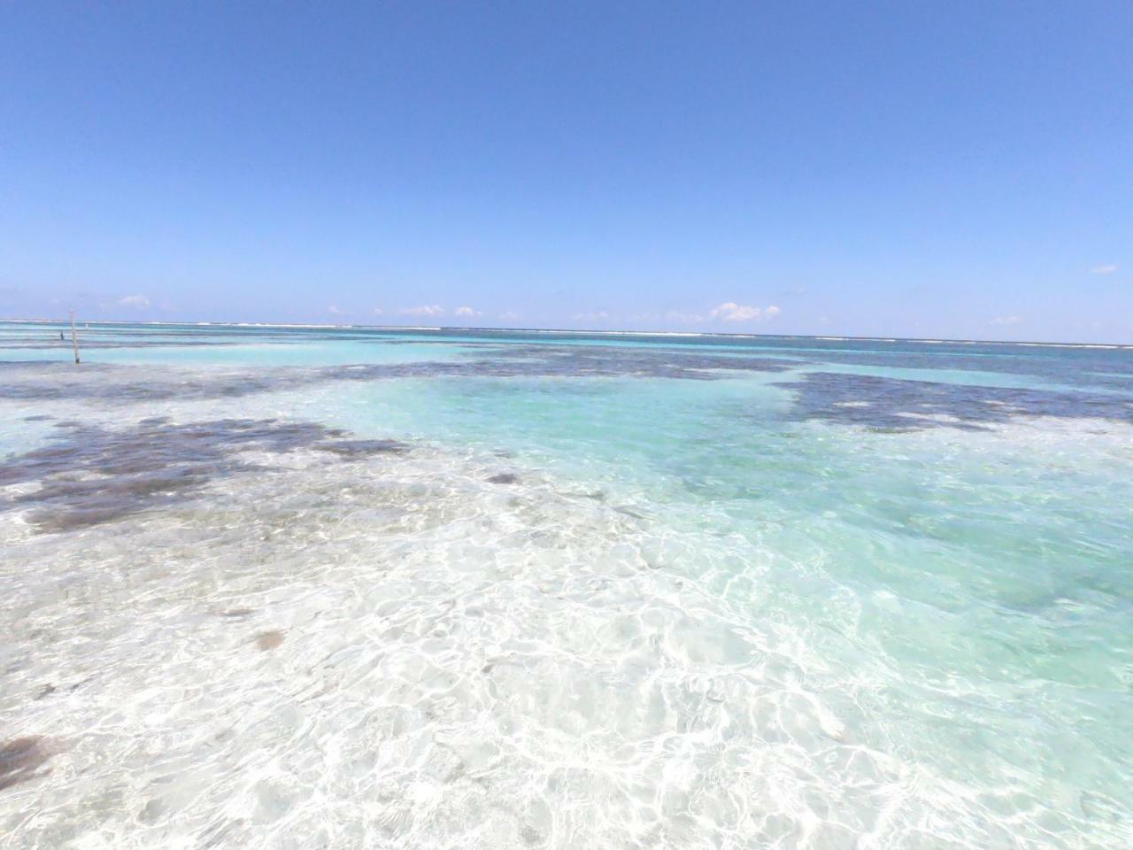 Palmeras De Mahahual