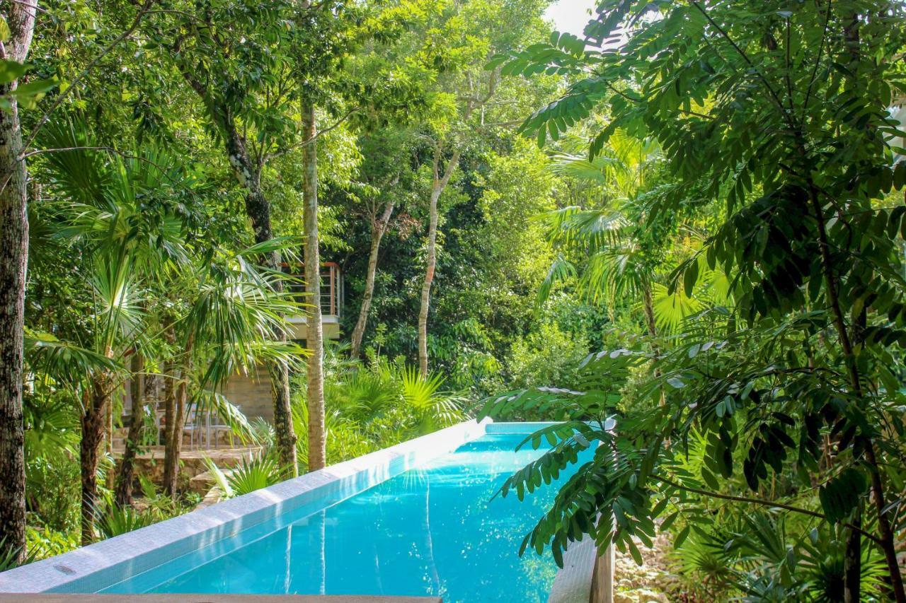 Fantastic With Balcony, High Speed Internet, Pool Facilities In Akumal