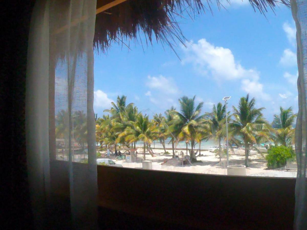 Palmeras De Lodge *