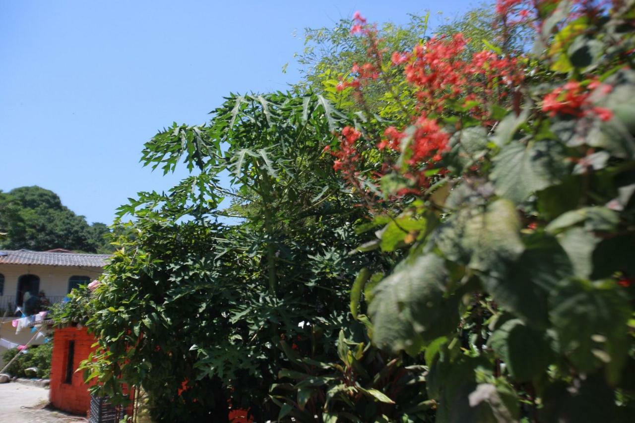 Lagunita *