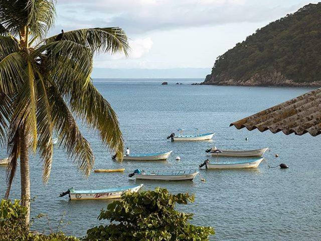 Lagunita * Yelapa