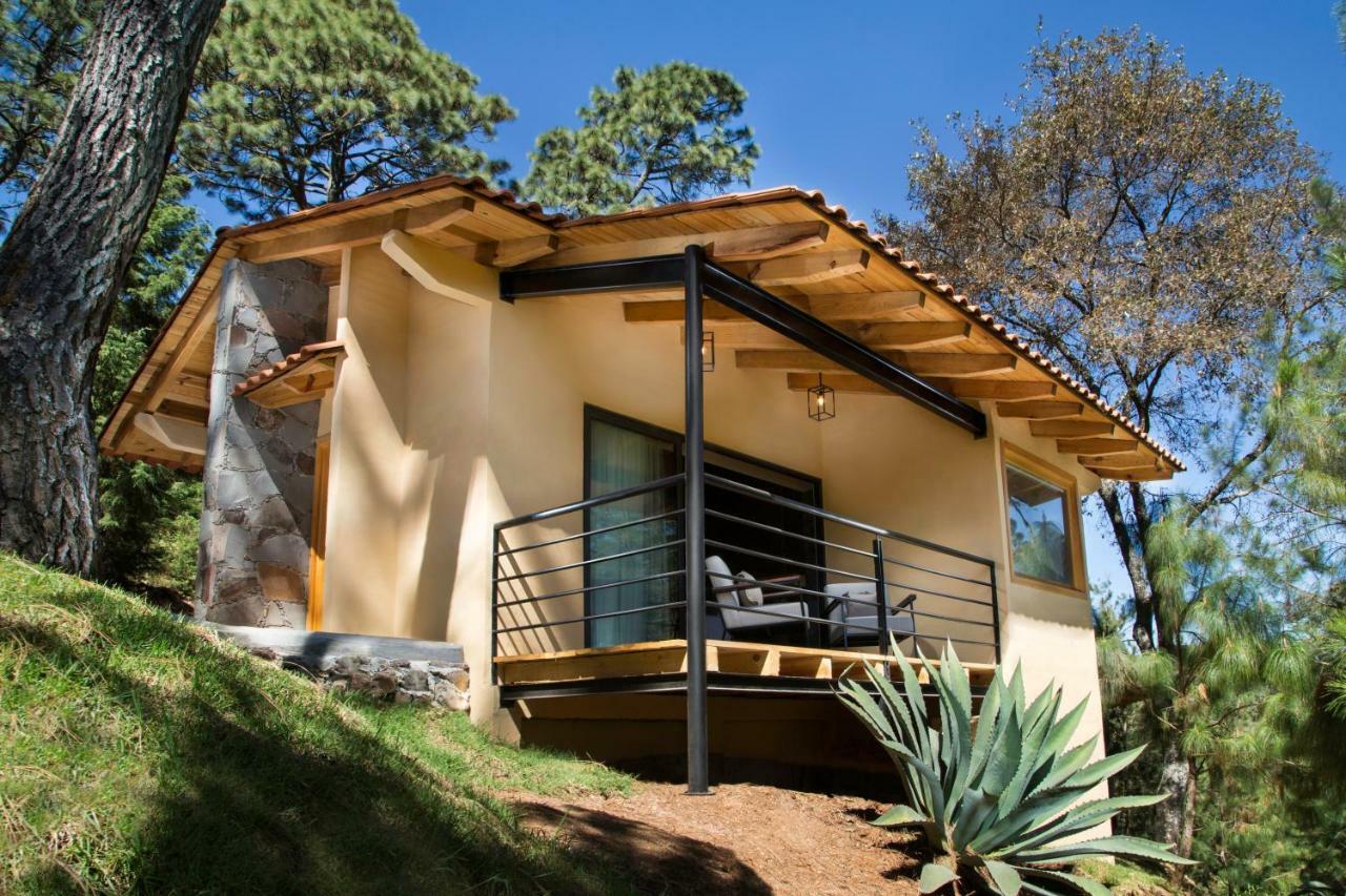 Hotel Bosque Escondido