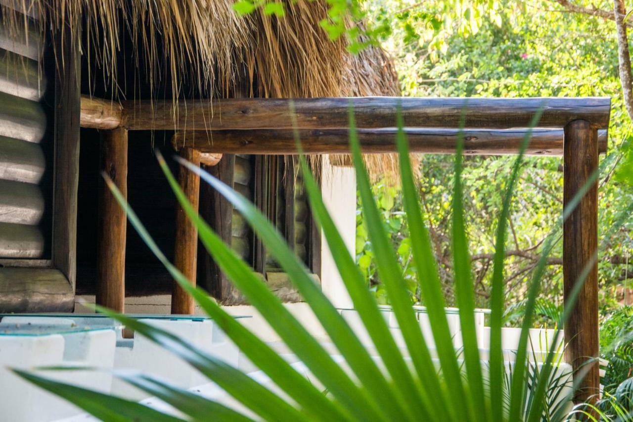 El Alquimista Yoga Zipolite