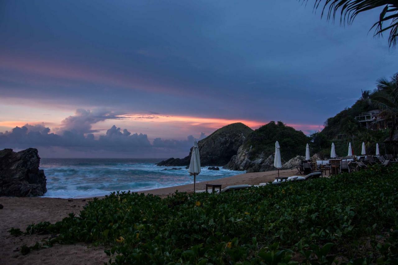 El Alquimista Yoga Zipolite