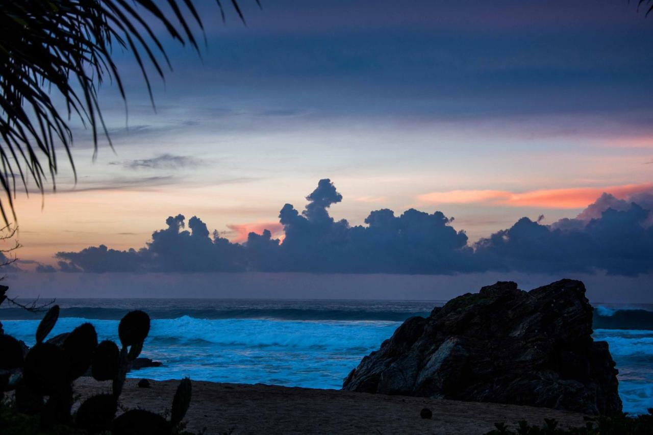 El Alquimista Yoga Hotel Zipolite