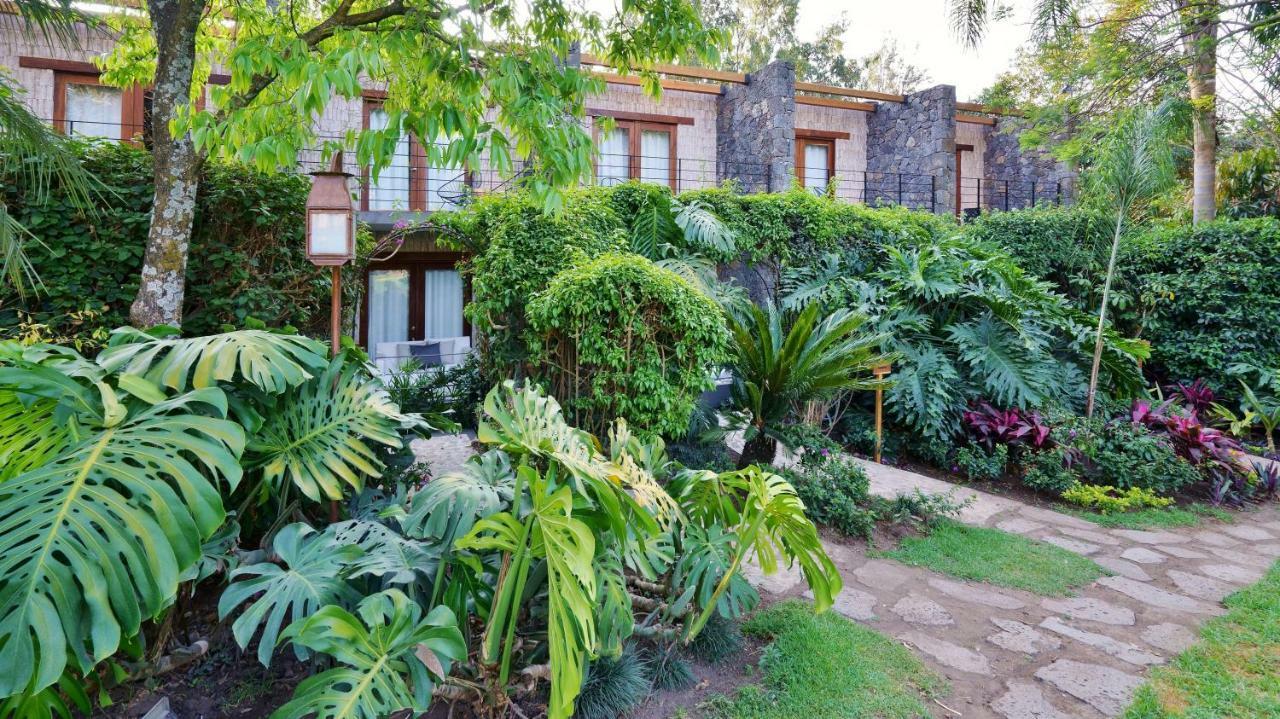 Amomoxtli 5* Tepoztlan