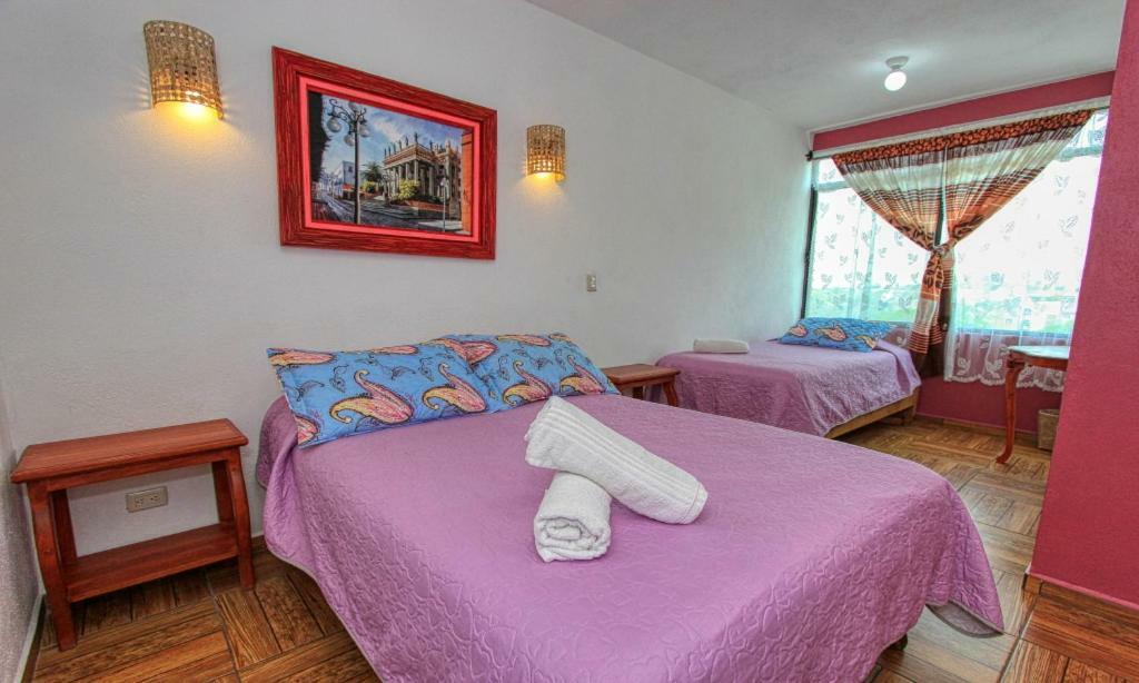 Hotel Maggic Panoramica Guanajuato