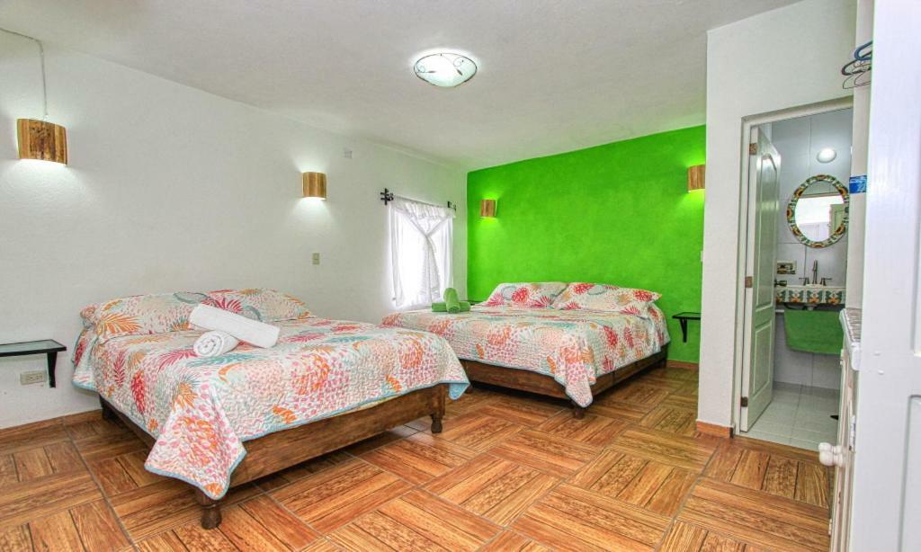 Hotel Maggic Panoramica 3*