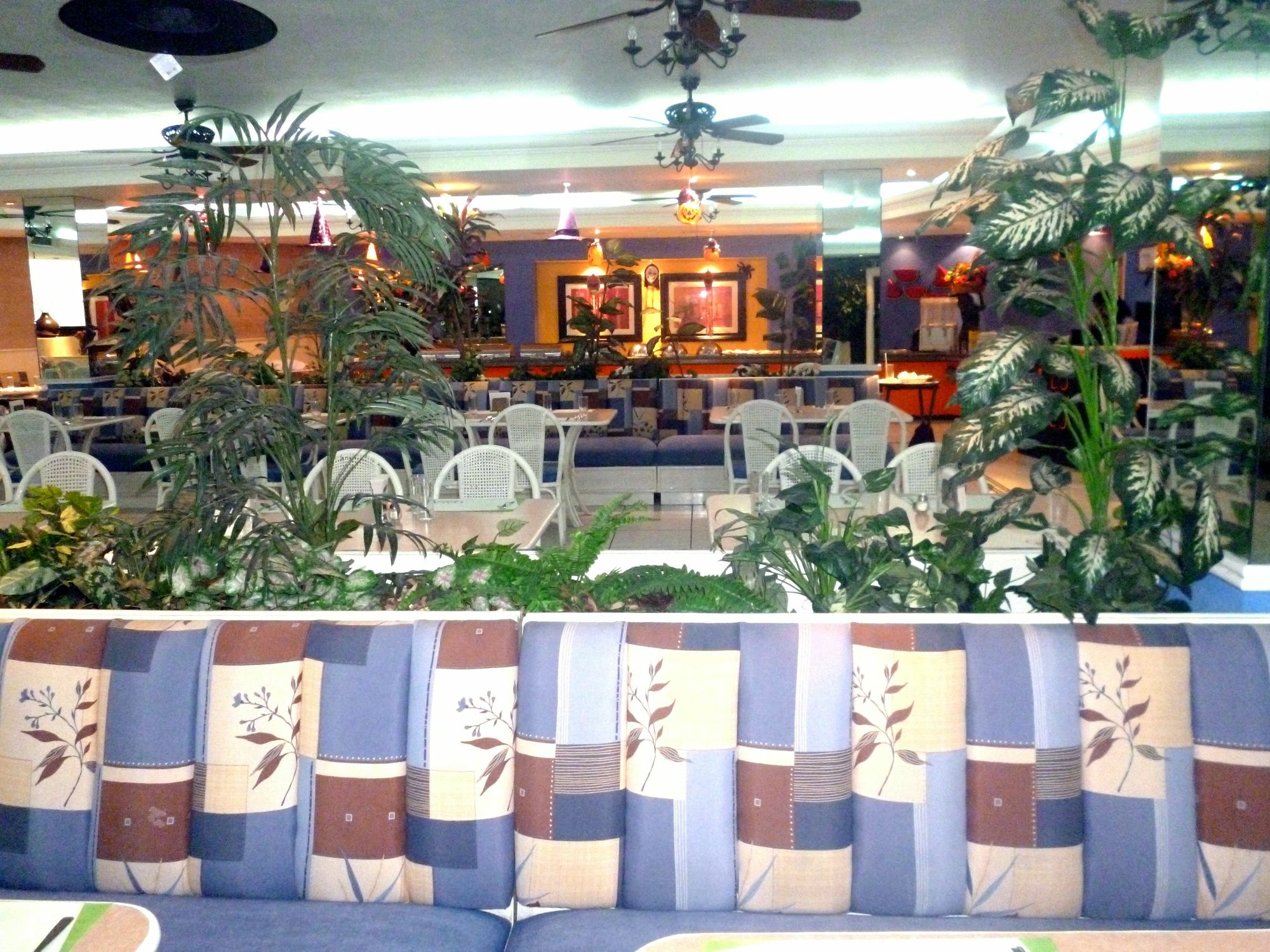 Dali Hotel Veracruz