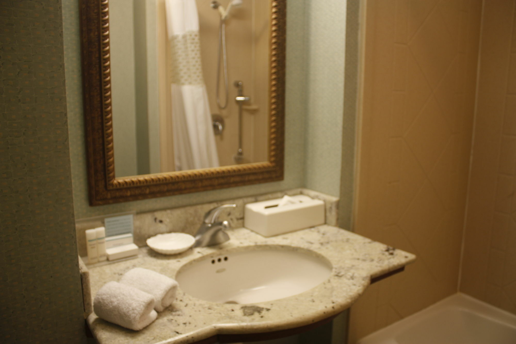 Hampton Airport 3* Tampico