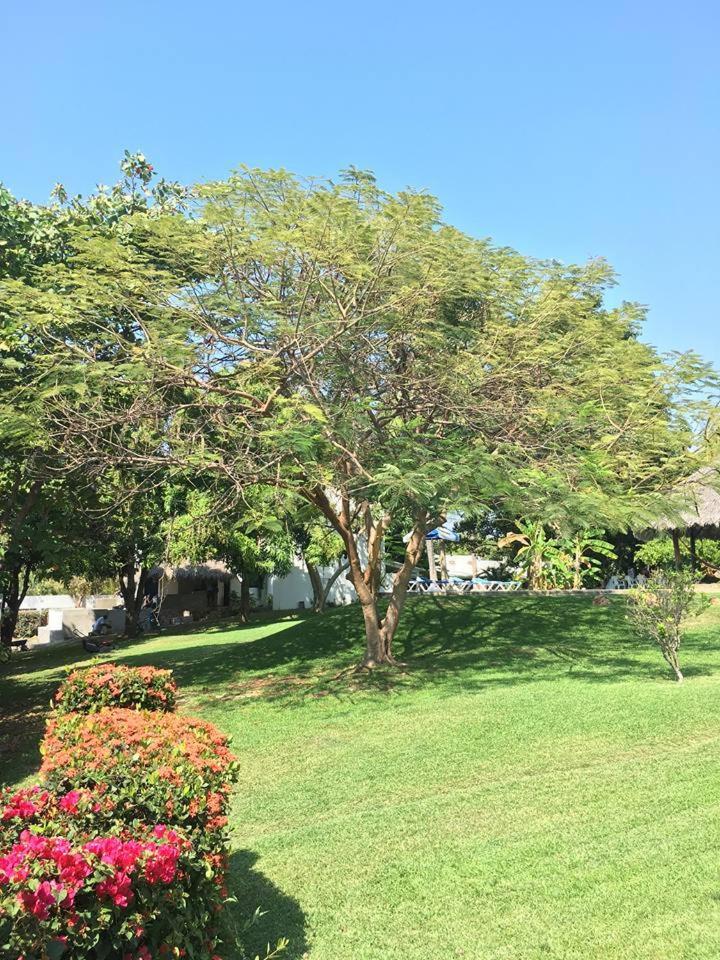 Hotel Quinta Risas Del Sol