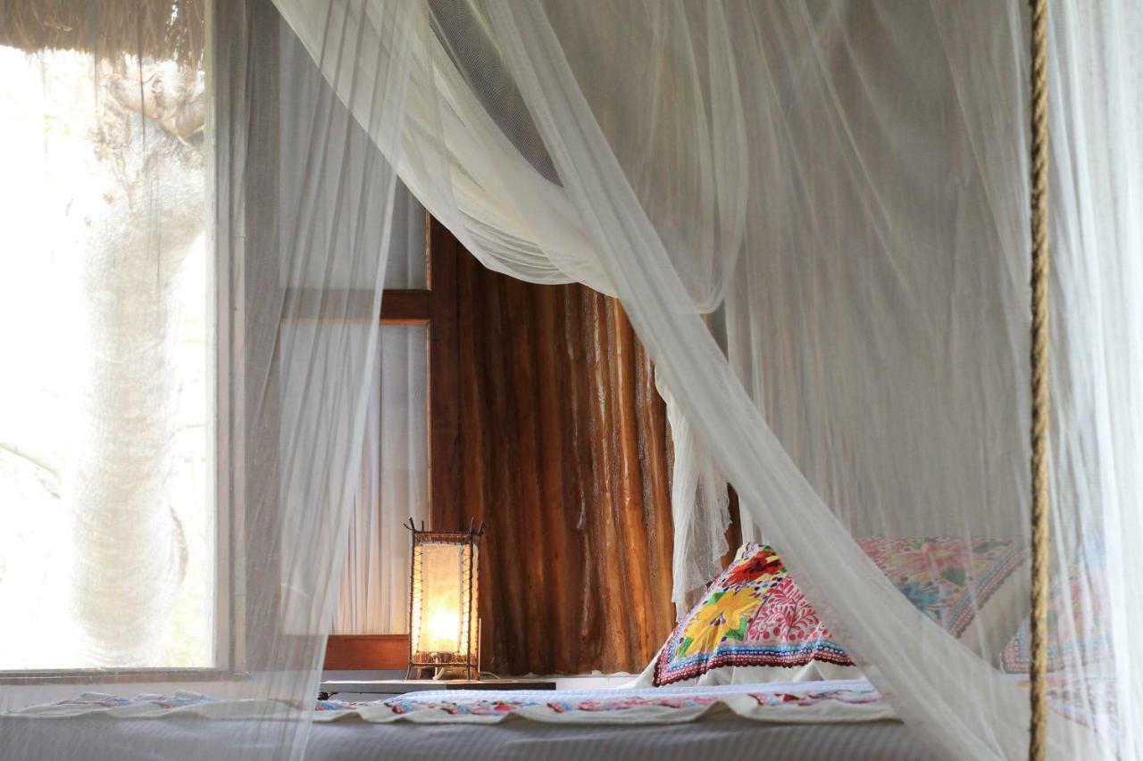 Zentik Project & Saline Cave Hotel Valladolid (Yucatan)
