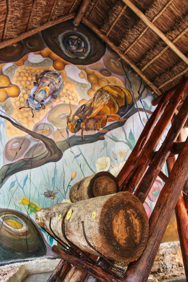 Zentik Project & Saline Cave Hotel Valladolid (Yucatan)