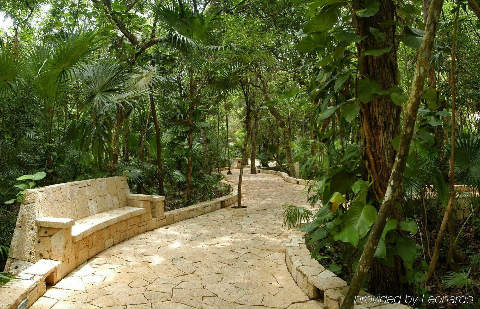 Catalonia Royal Tulum & Adults Only Xpu Ha