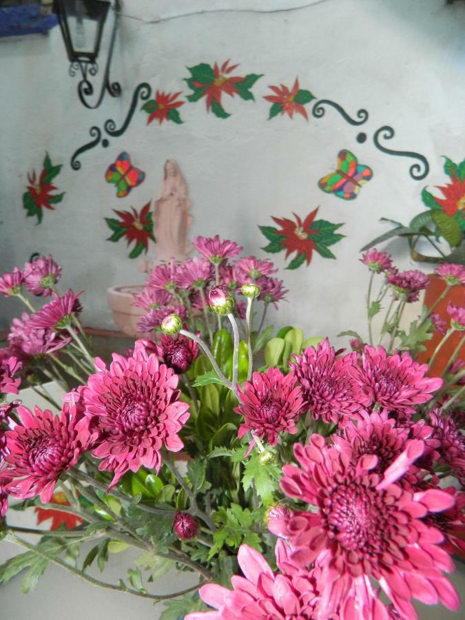 Guest house Joan Sebastian Taxco de Alarcon