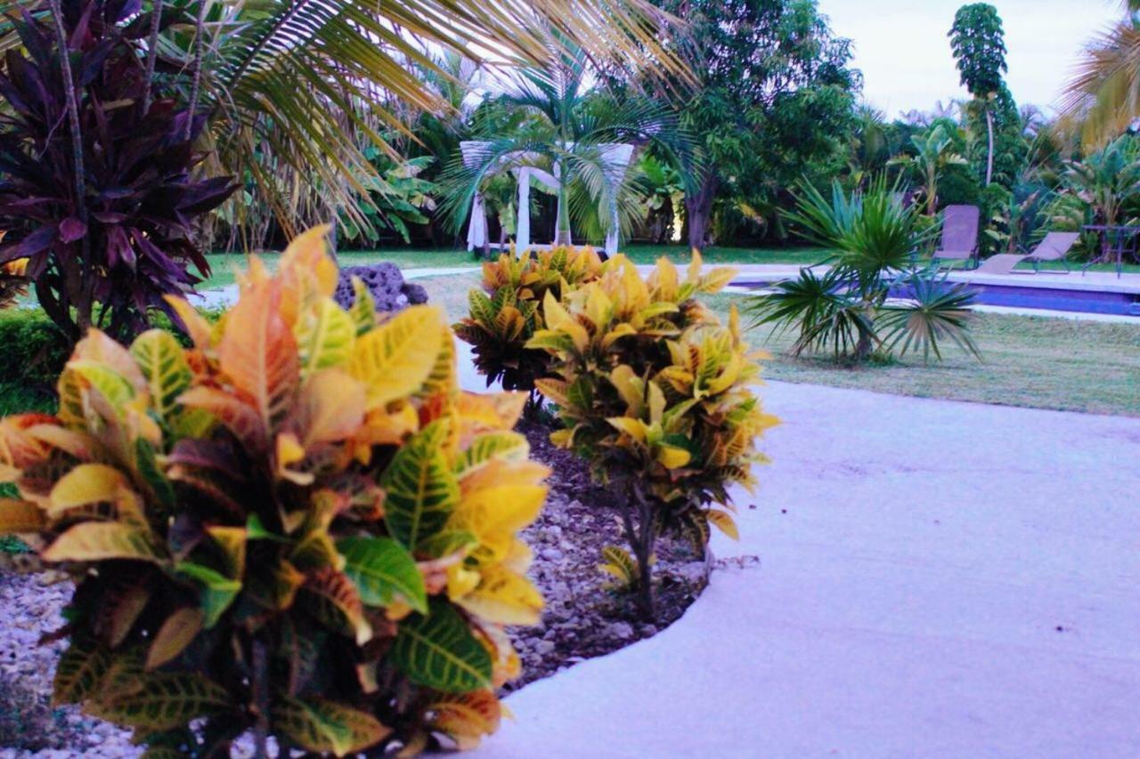 Quinta Souffle Hotel *