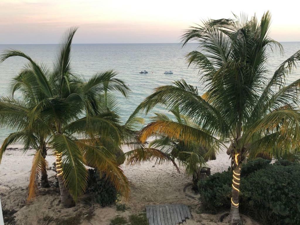 Beachfront Solarium Garden House 1 Villa San Benito