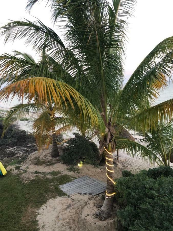 Beachfront Solarium Garden House 1