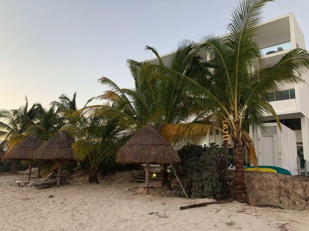 Beachfront Solarium Garden House 1 * San Benito