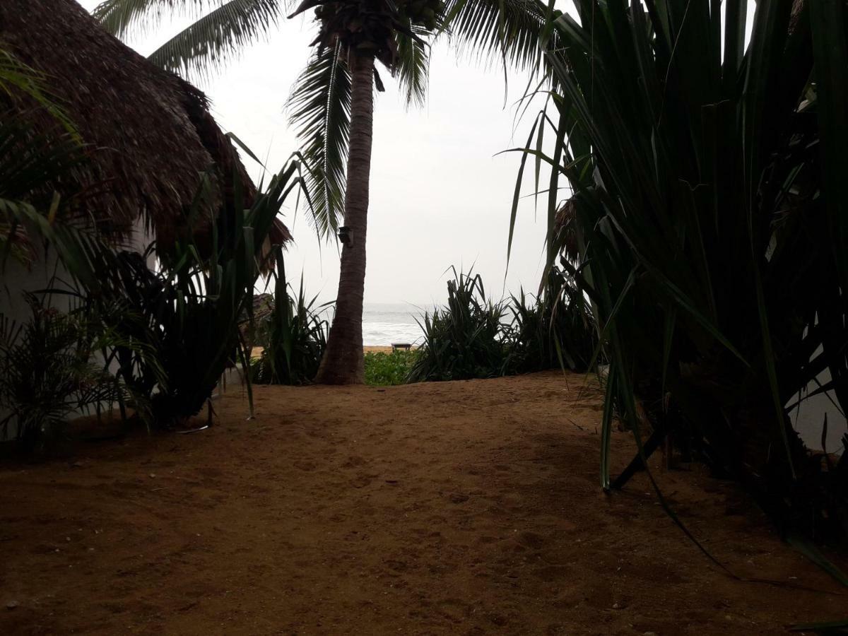El Alquimista Yoga Hotel Zipolite