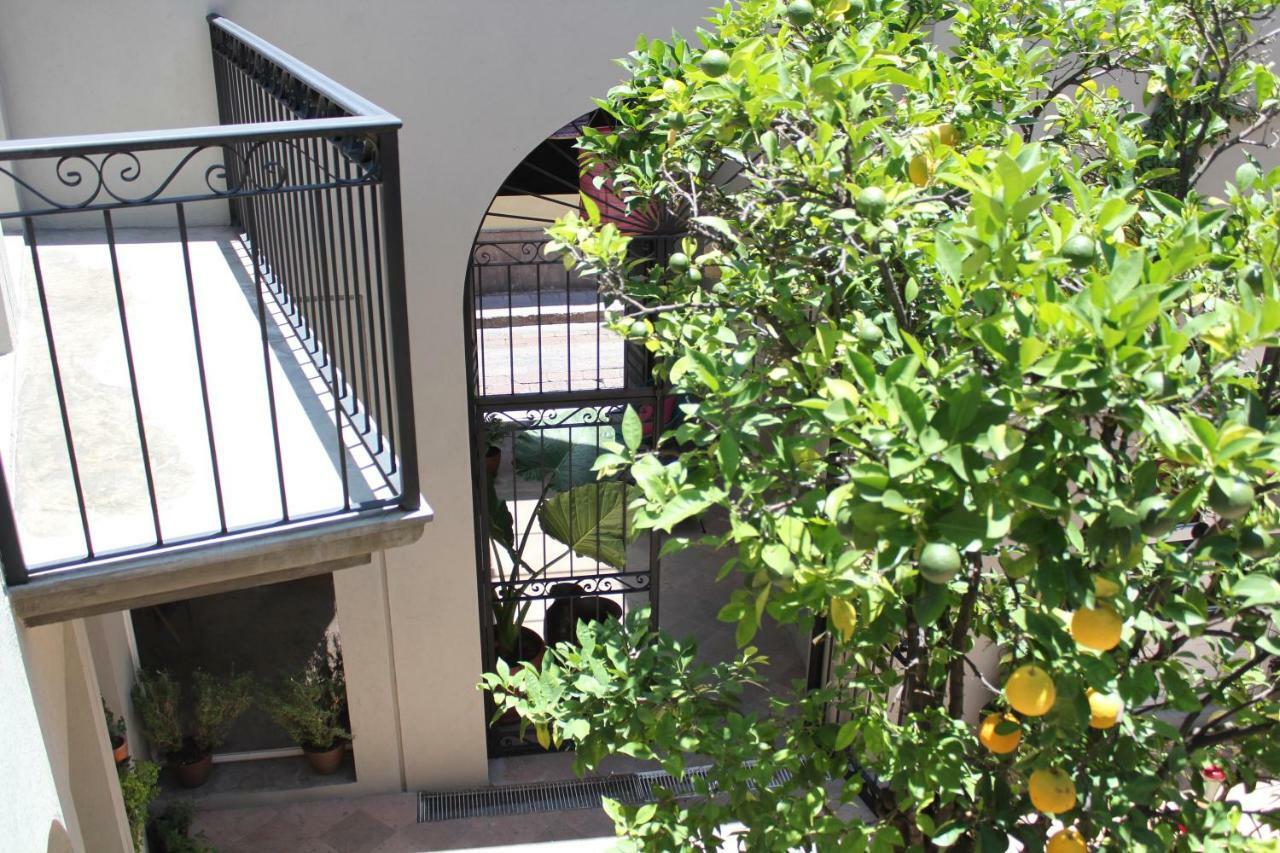 Hotel Mama Carlota 3*