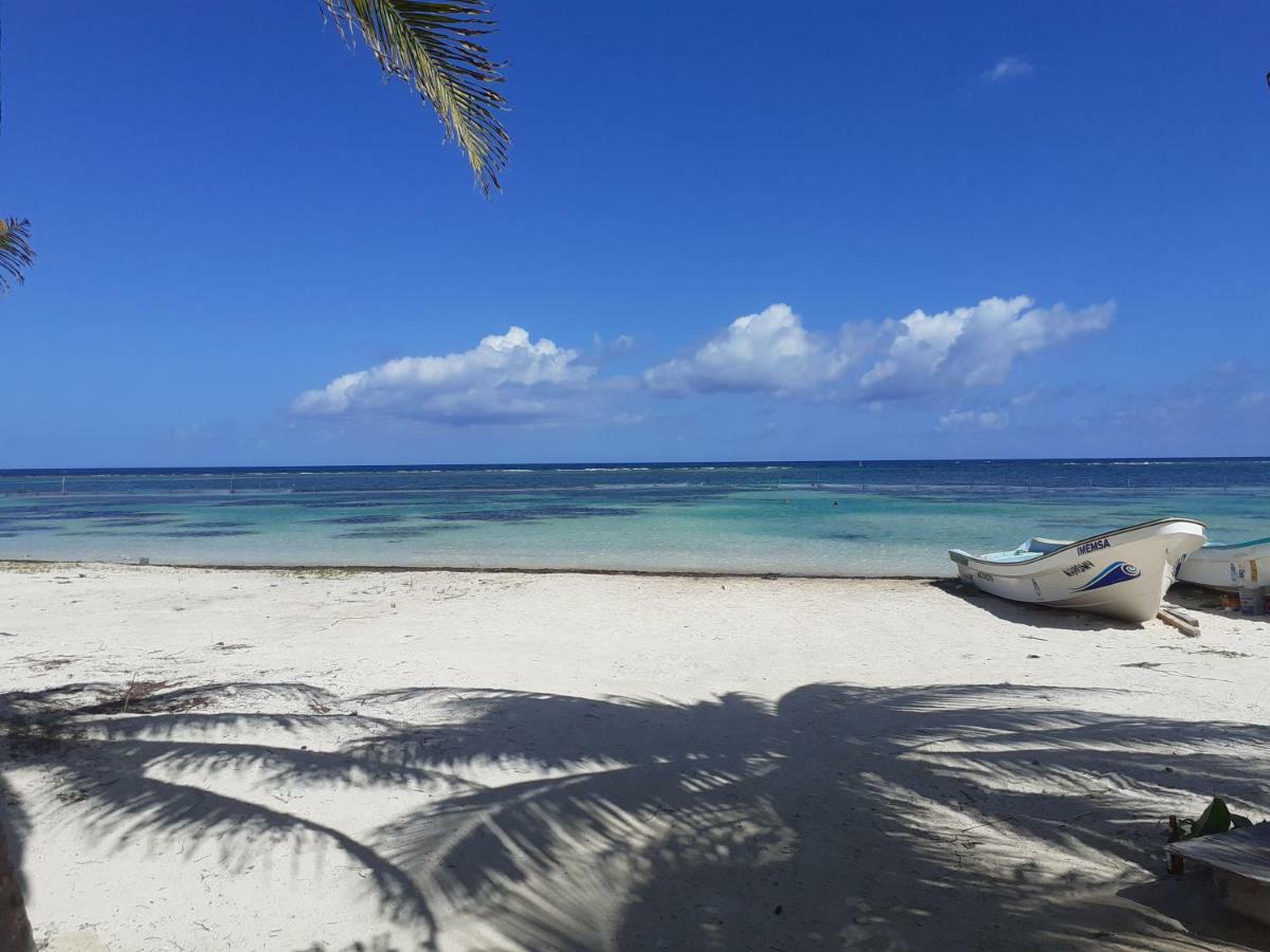 Lodge Palmeras De