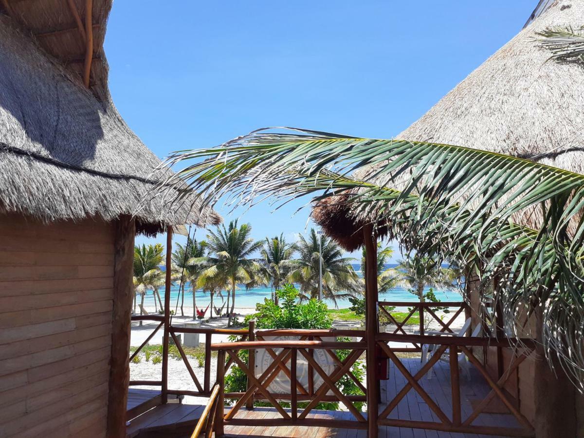 Palmeras De Lodge *
