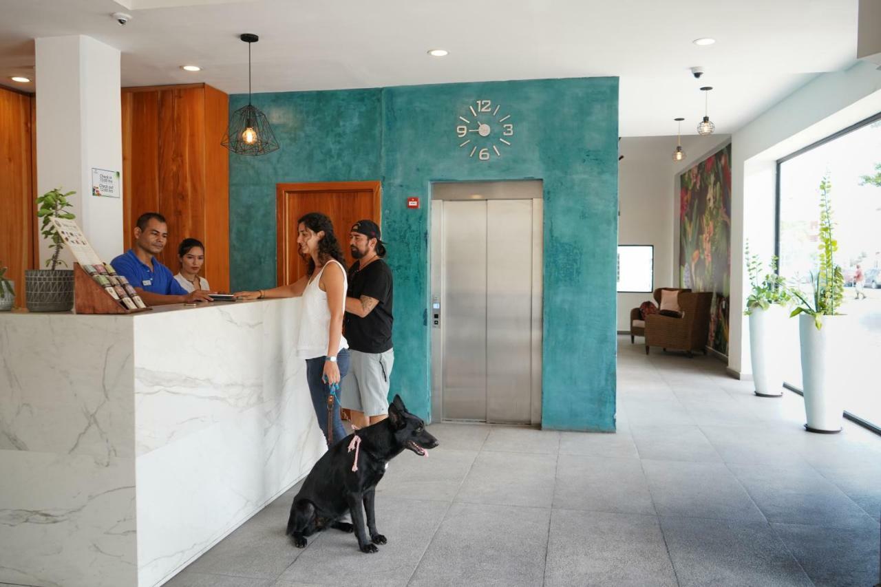 Hotel & Arges - Centro Chetumal
