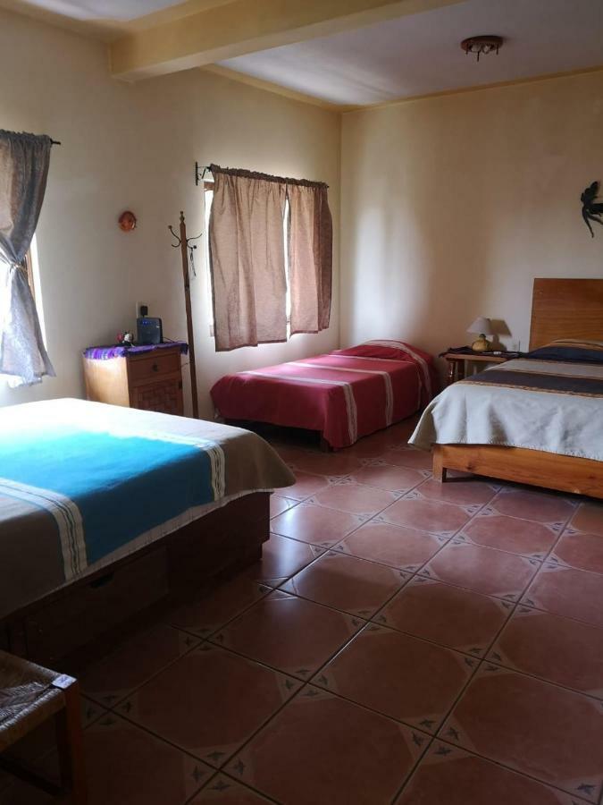 Loft El Rosario Apartment *