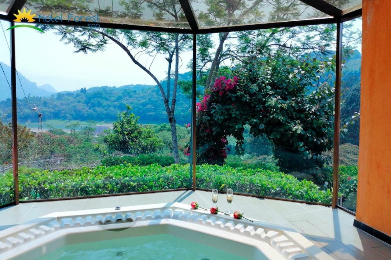 Hotel Forest 3*