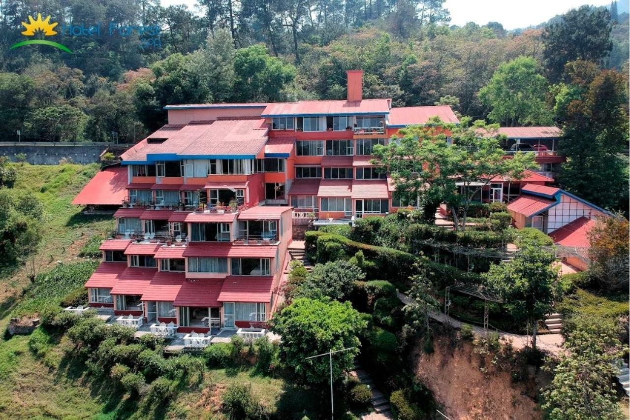 Forest Hotel 3*