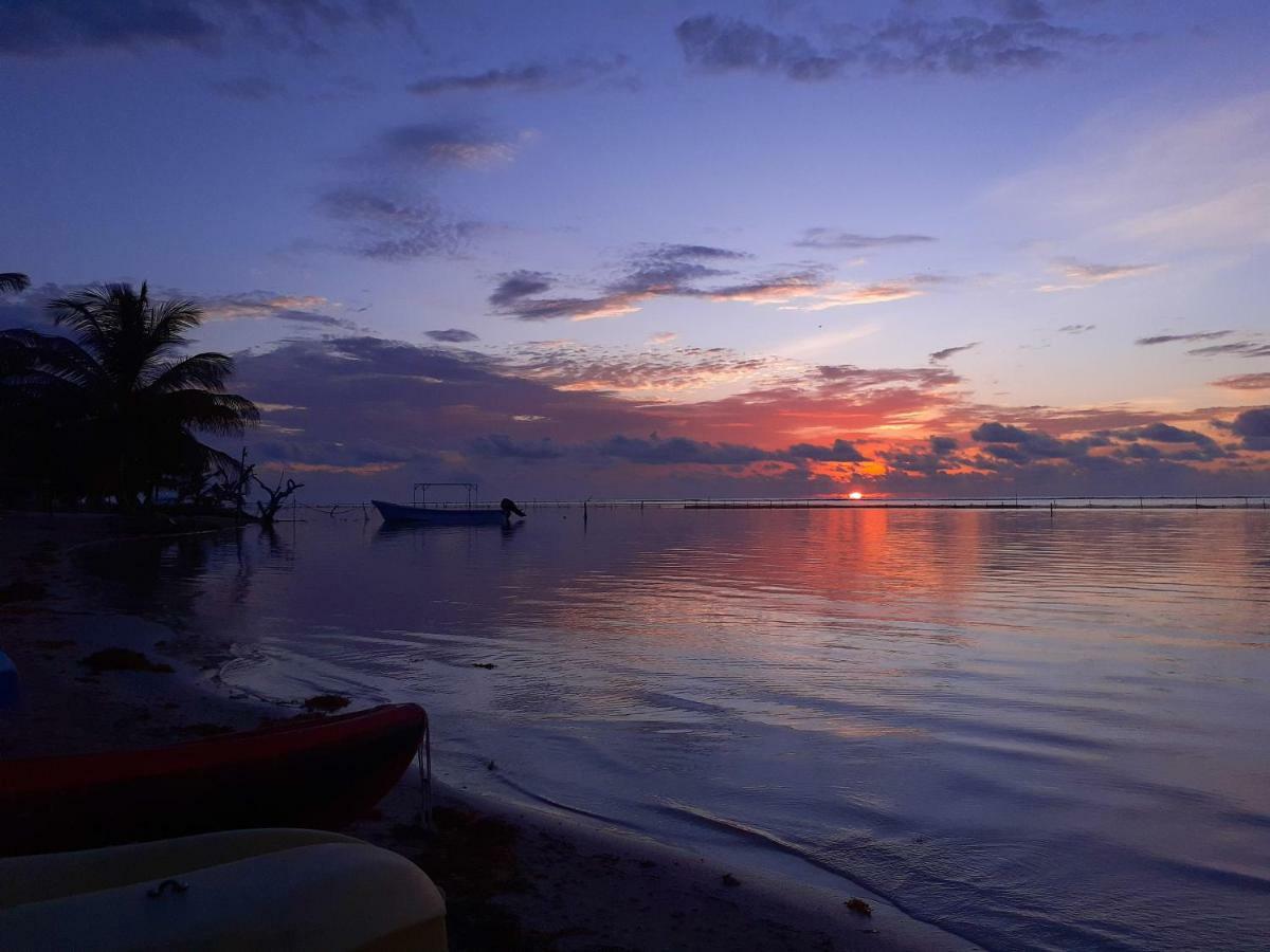 Palmeras De * Mahahual