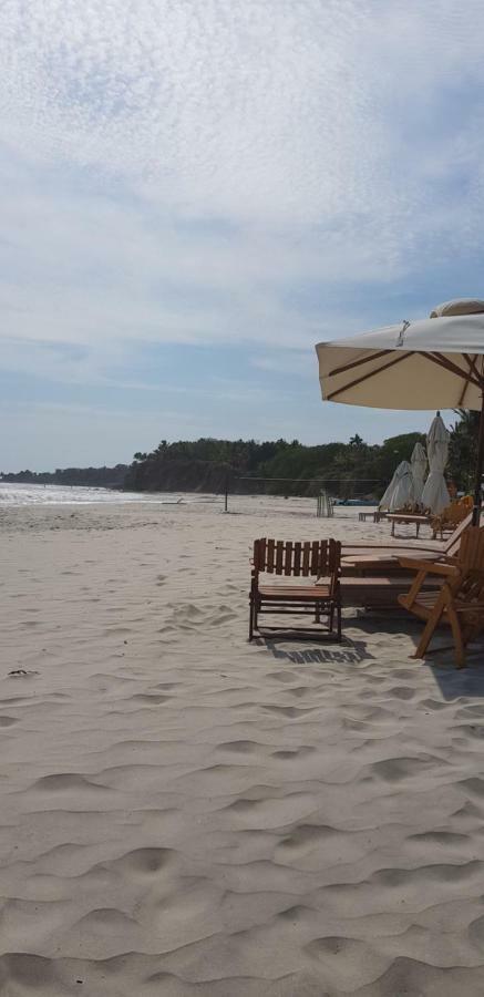 Los Veneros, Torre Agave * Punta Mita